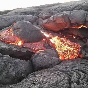 Meet your Posher, Paul